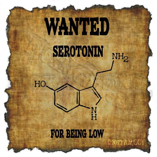 Wanted_Serotonin_for_being_low Copyright©2022 A.M. Coy - All Rights Reserved